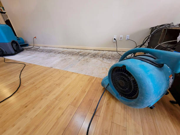 Professional Basement Flood Cleanup technician working in Stockbridge, MI